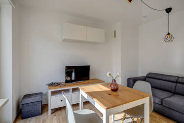 Helle Wohnung mit großer Dachterrasse