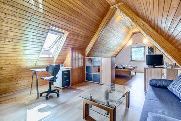 阳光充足、位置安静的阁楼公寓,带互联网